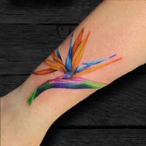 Realistic Water Color Bird For Paradise Tattoo